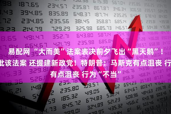 易配网 “大而美”法案表决前夕飞出“黑天鹅”！马斯克再批该法案 还提建新政党！特朗普：马斯克有点沮丧 行为“不当”